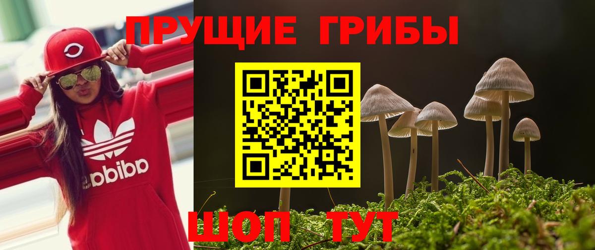 Волоколамск  Галлюциногенные грибы Cubensis  Вход с VPN  Псилоцибиновые грибы прущие грибы 